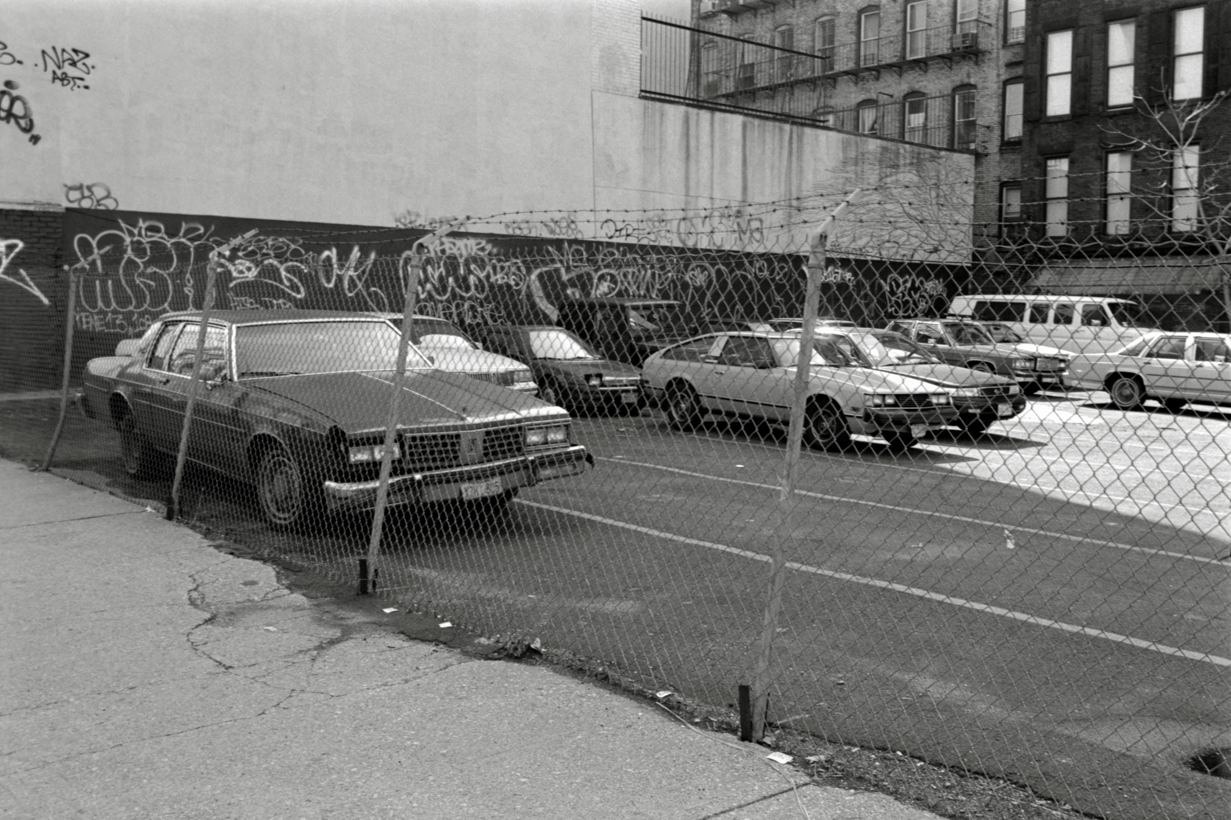 AHP F1995 04 005 sc240817 img13 NLP